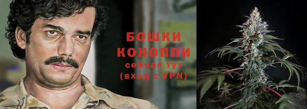 соль ск Богданович
