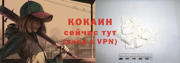 соль ск Богданович