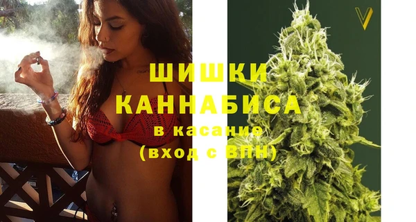 соль ск Богданович