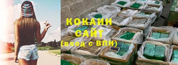 сатива Белокуриха