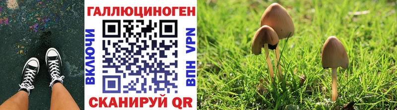 ссылка на мегу ТОР  дарнет шоп  Кирово-Чепецк  сайты даркнета какой сайт  Галлюциногенные грибы GOLDEN TEACHER 
